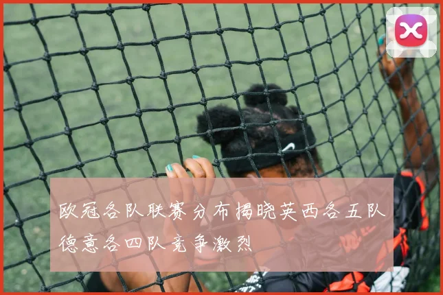 欧冠各队联赛分布揭晓英西各五队德意各四队竞争激烈