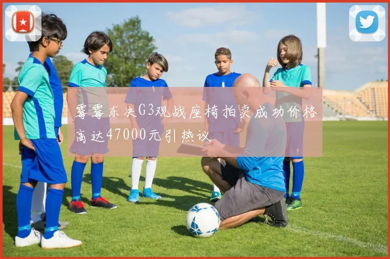 霉霉东决G3观战座椅拍卖成功价格高达47000元引热议